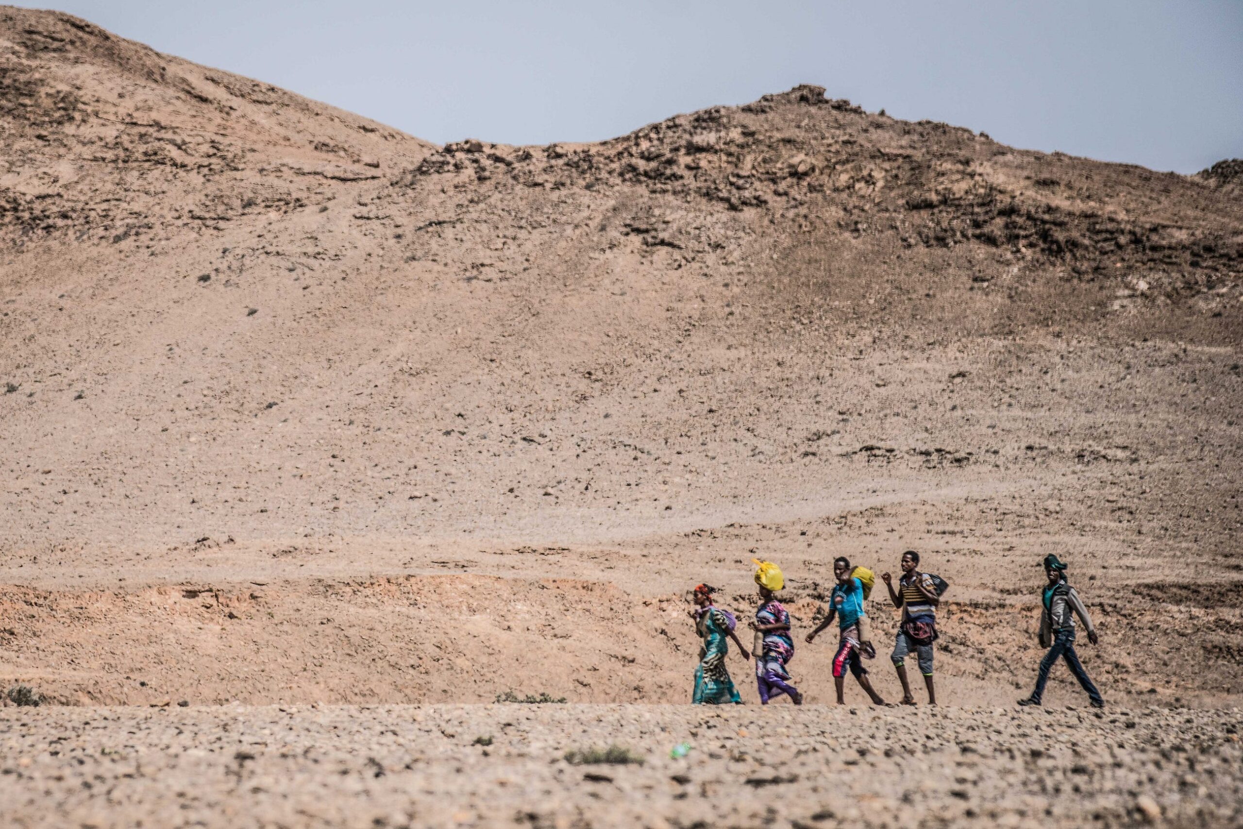 Climate and Reforestation